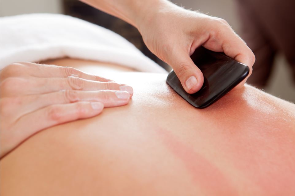 Fertility Bodywork and Support in St. Petersburg, Florida