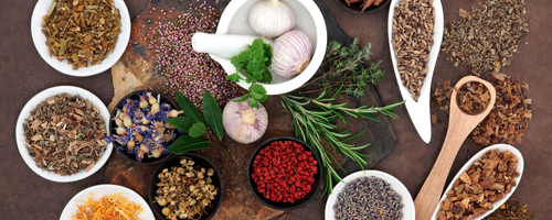 Art of Acupuncture Traditional Chinese Herbal Medicine in St. Petersburg, FL