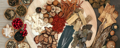 Traditional Chinese Herbal Medicine in St. Petersburg, FL
