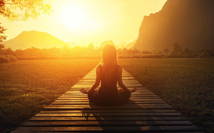 Wellness Coaching and Meditation in St. Petersburg, Florida